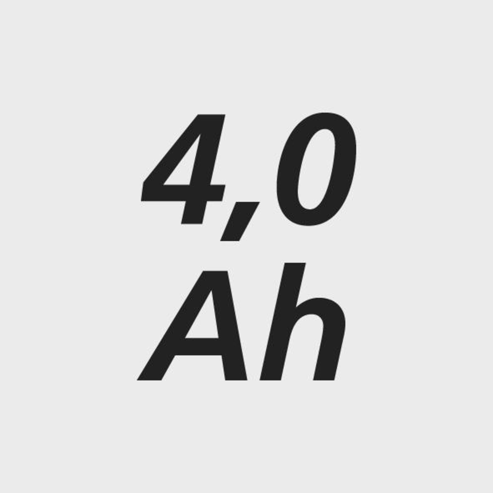 seal_lag485056