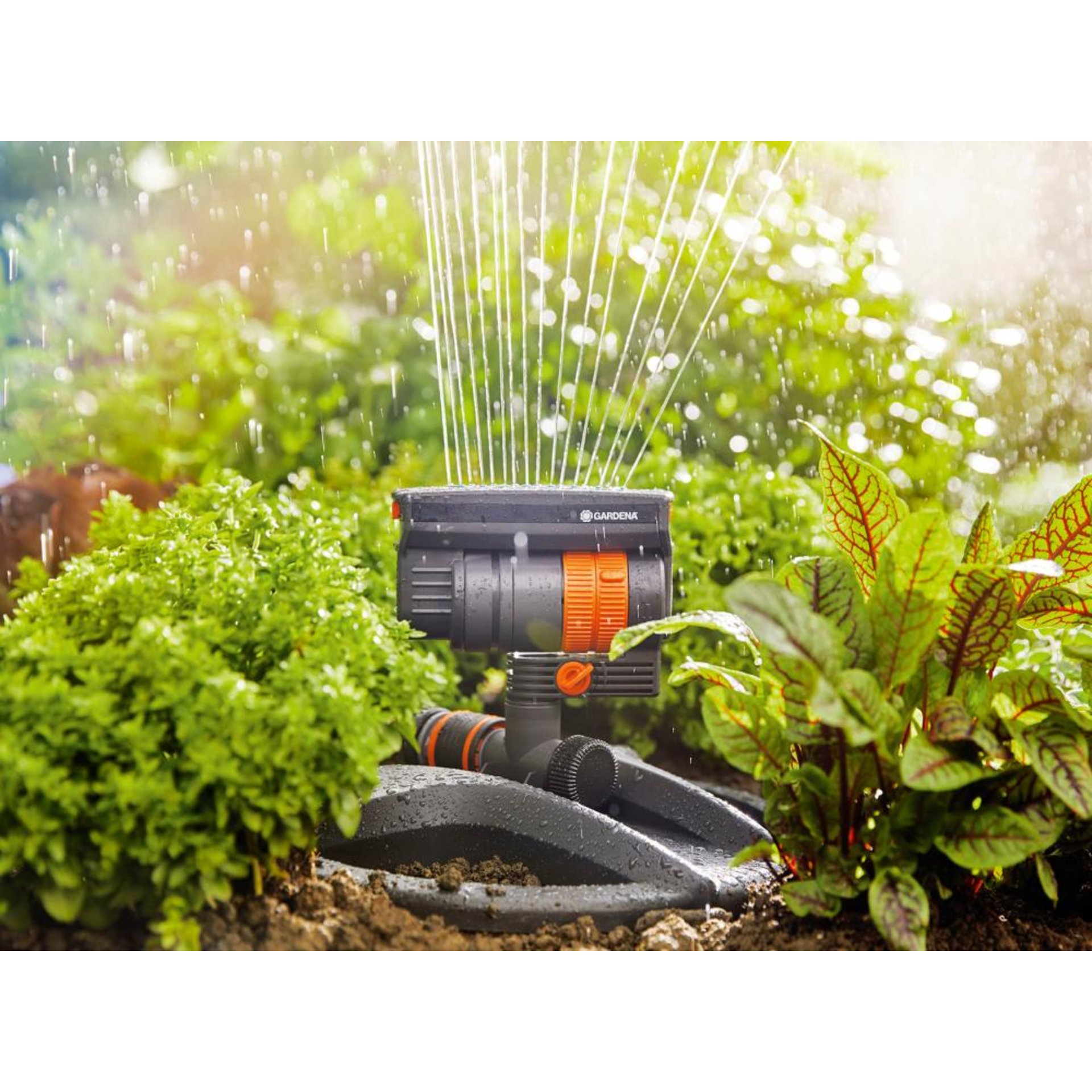 Viereckregner AquaZoom compact 18708-20