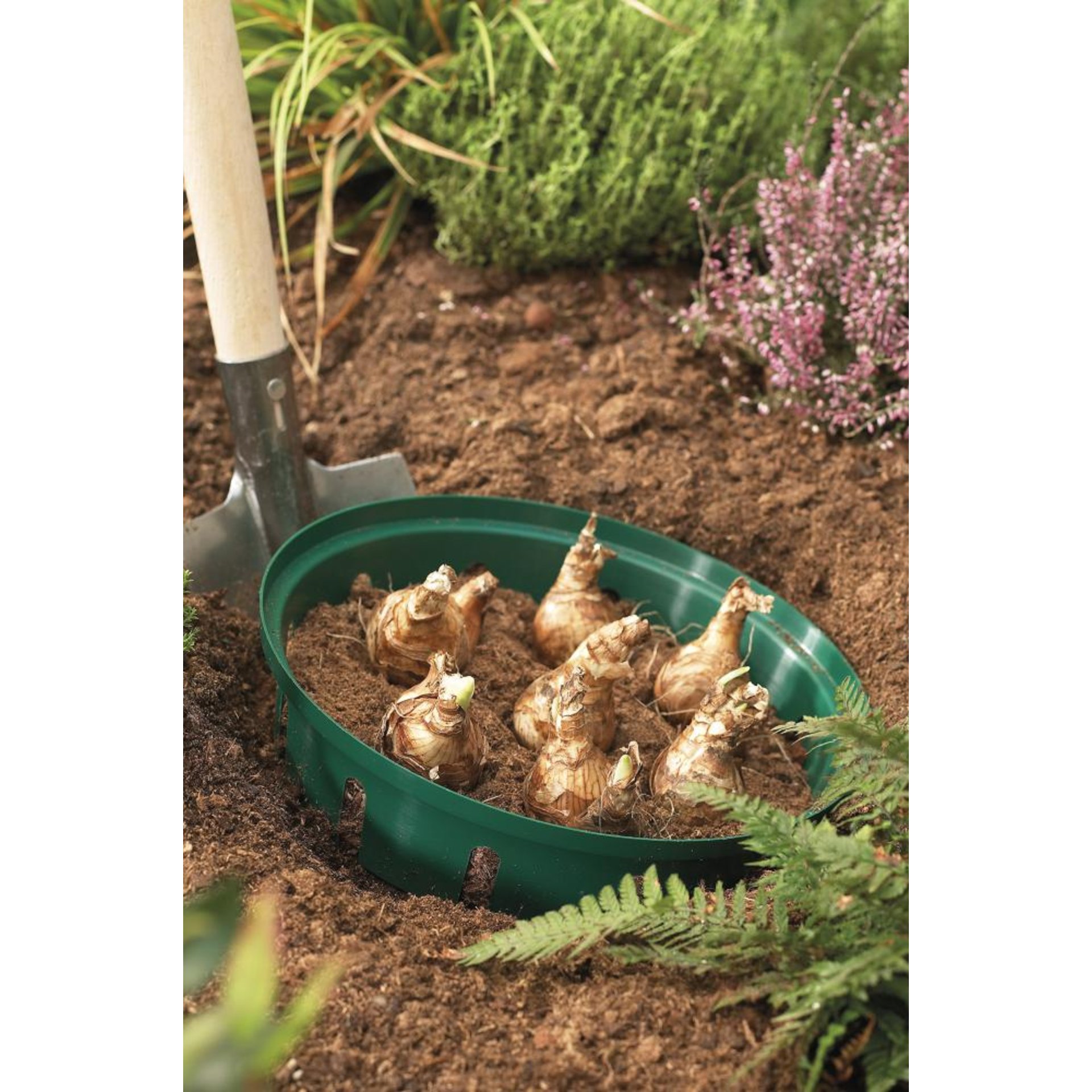 Blumenzwiebel- Pflanzenschale 3er Set rund Floraworld