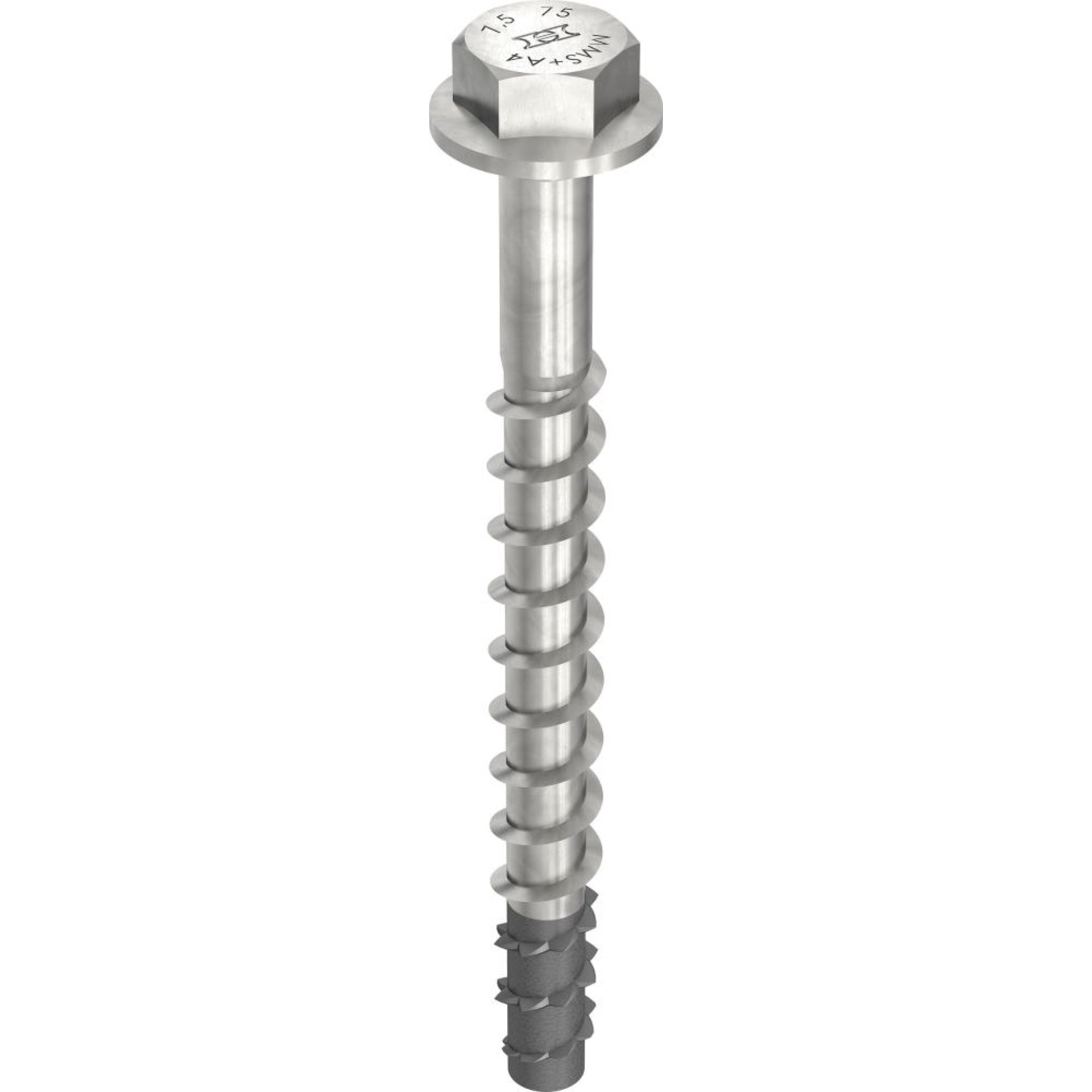MULTI-MONTI-plus SS 10x75/15 A4
