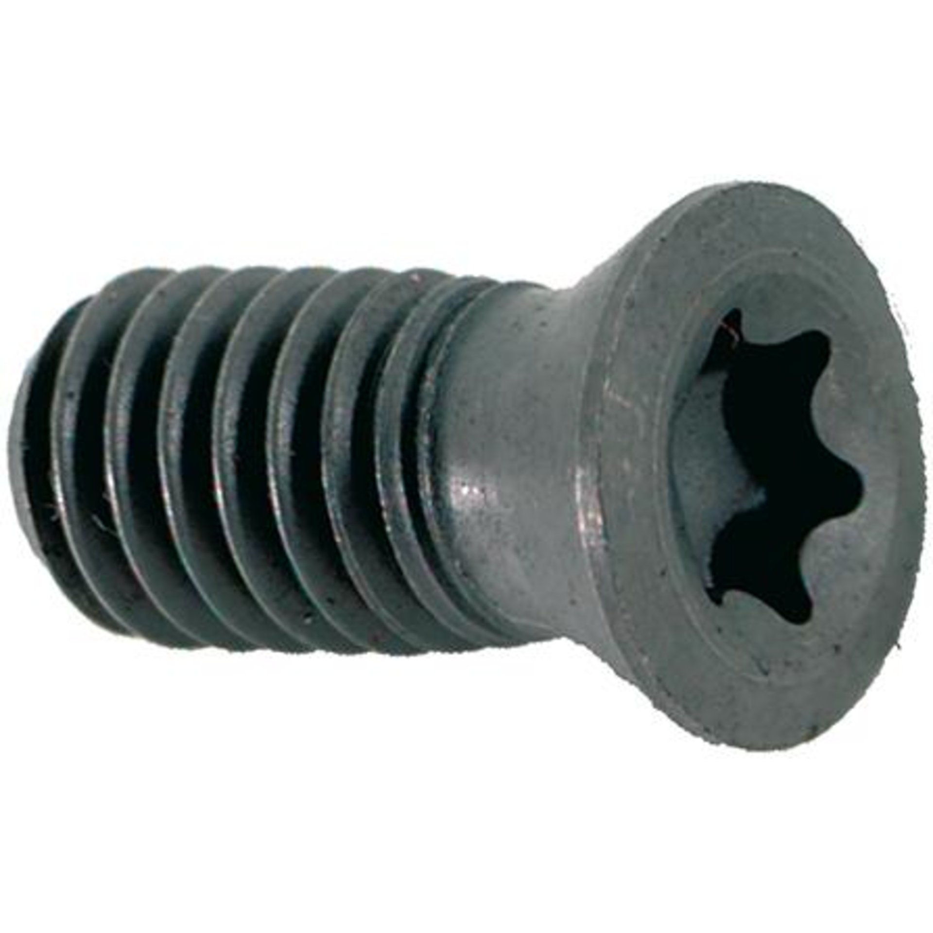Spannschraube M2,5x5 T08 FORMAT