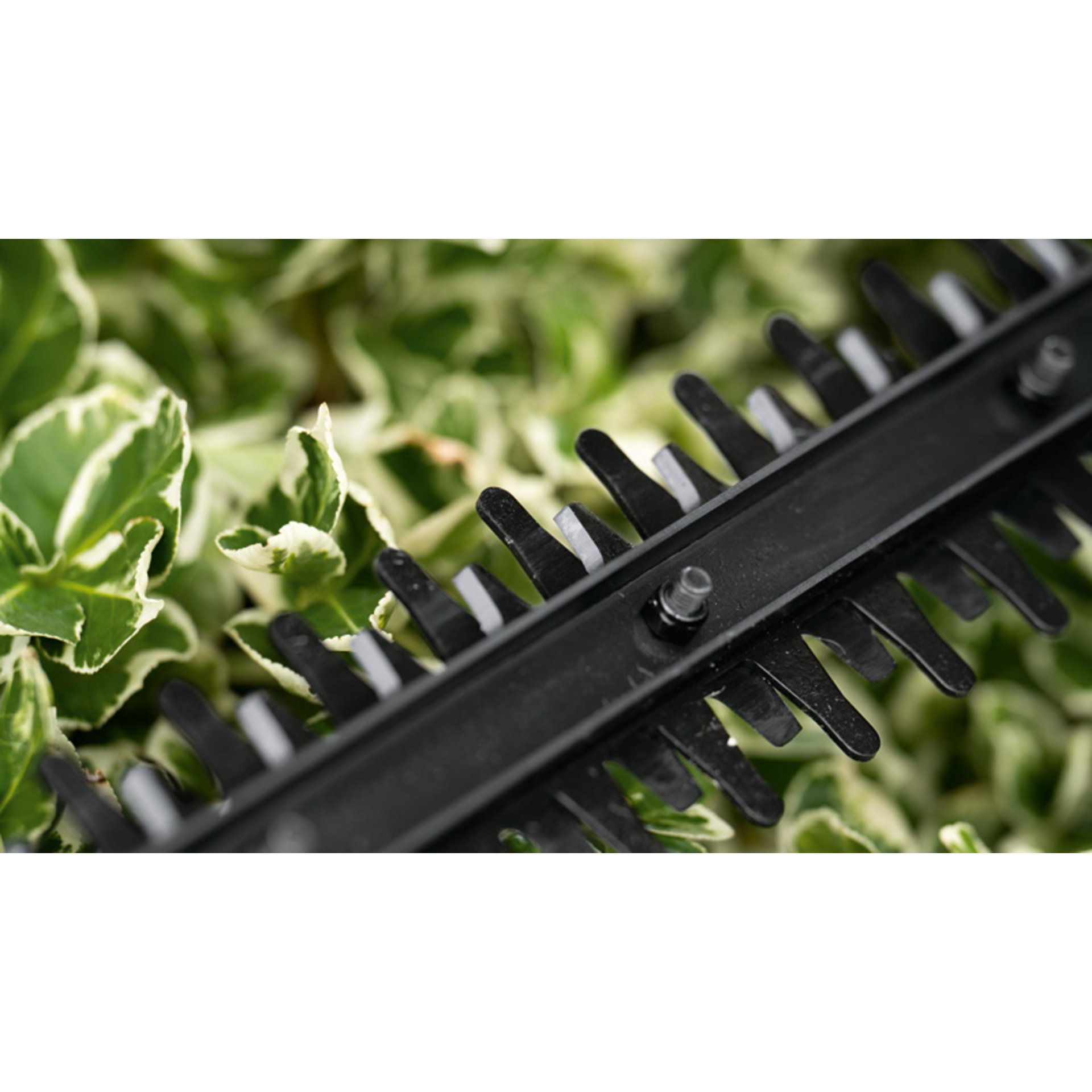 Akku-Heckenschere EasyHedgeCut 18V-44-11, 1 x Akku PBA 18V 2.0Ah