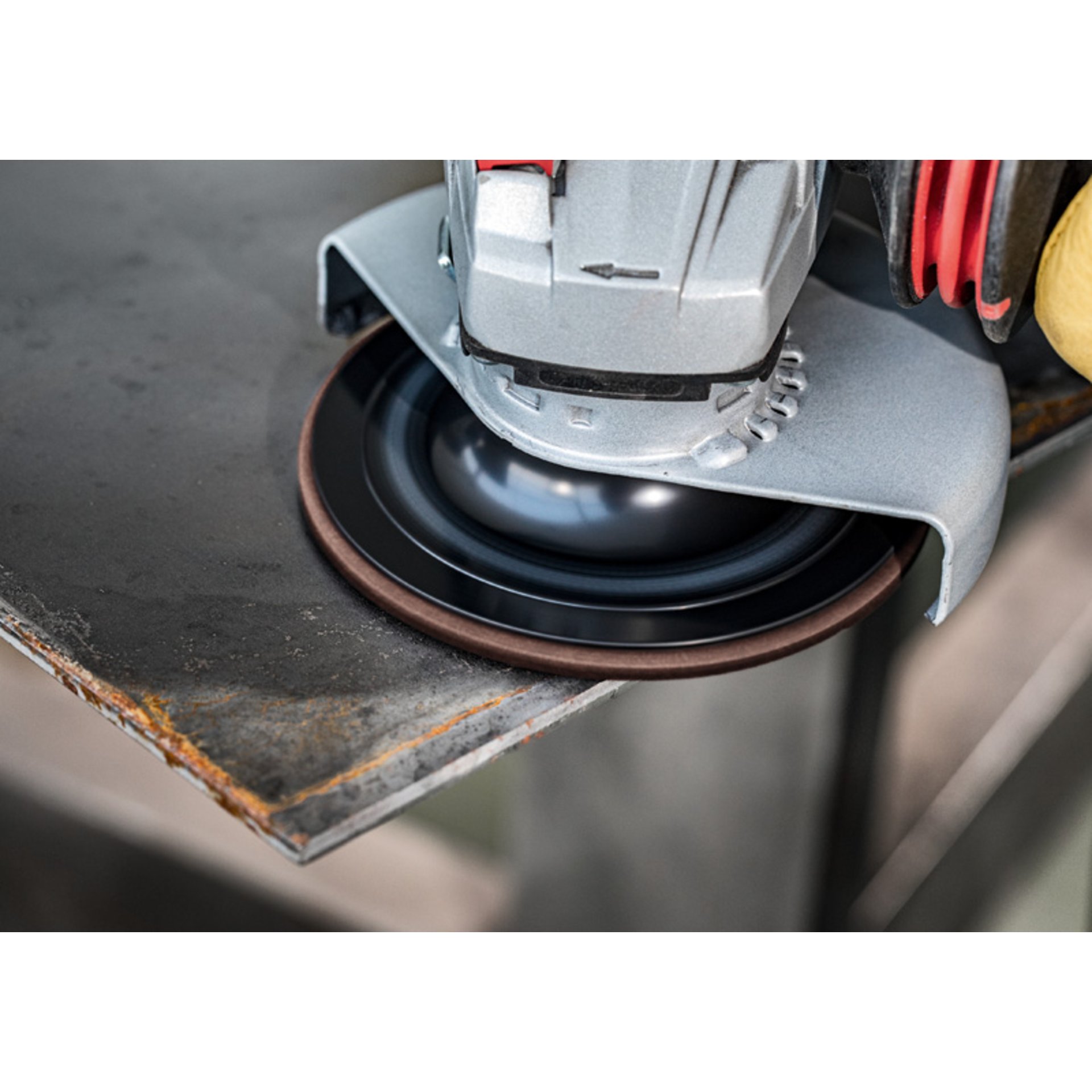 EXPERT N880 Vliesscheibe für Exzenterschleifer, 128 mm, fein, 5-tlg.