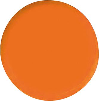 Eclipse Organisationsmagnet rund orange 20mm