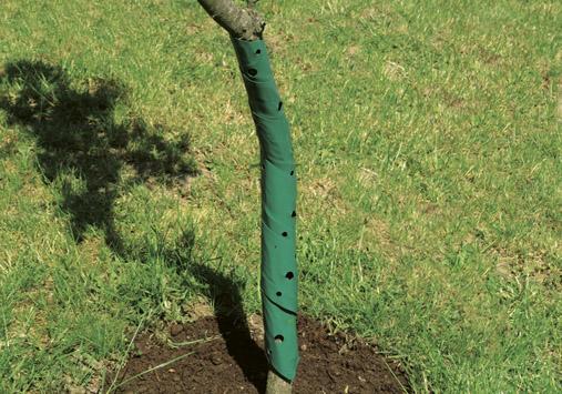 Baumschutzspirale 2er Set, 60 cm