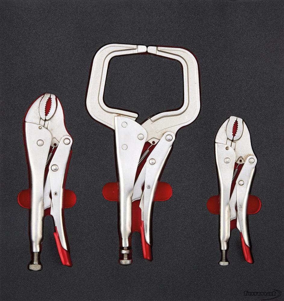 Format Werkzeugmodul 2/3 Gripzange Format Werkzeugmodul 2/3 Gripzange