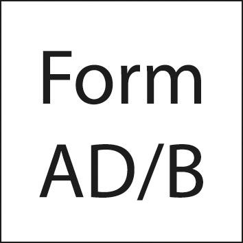 Haimer Aufsteckfräserdorn JISB6339ADB BT40-27