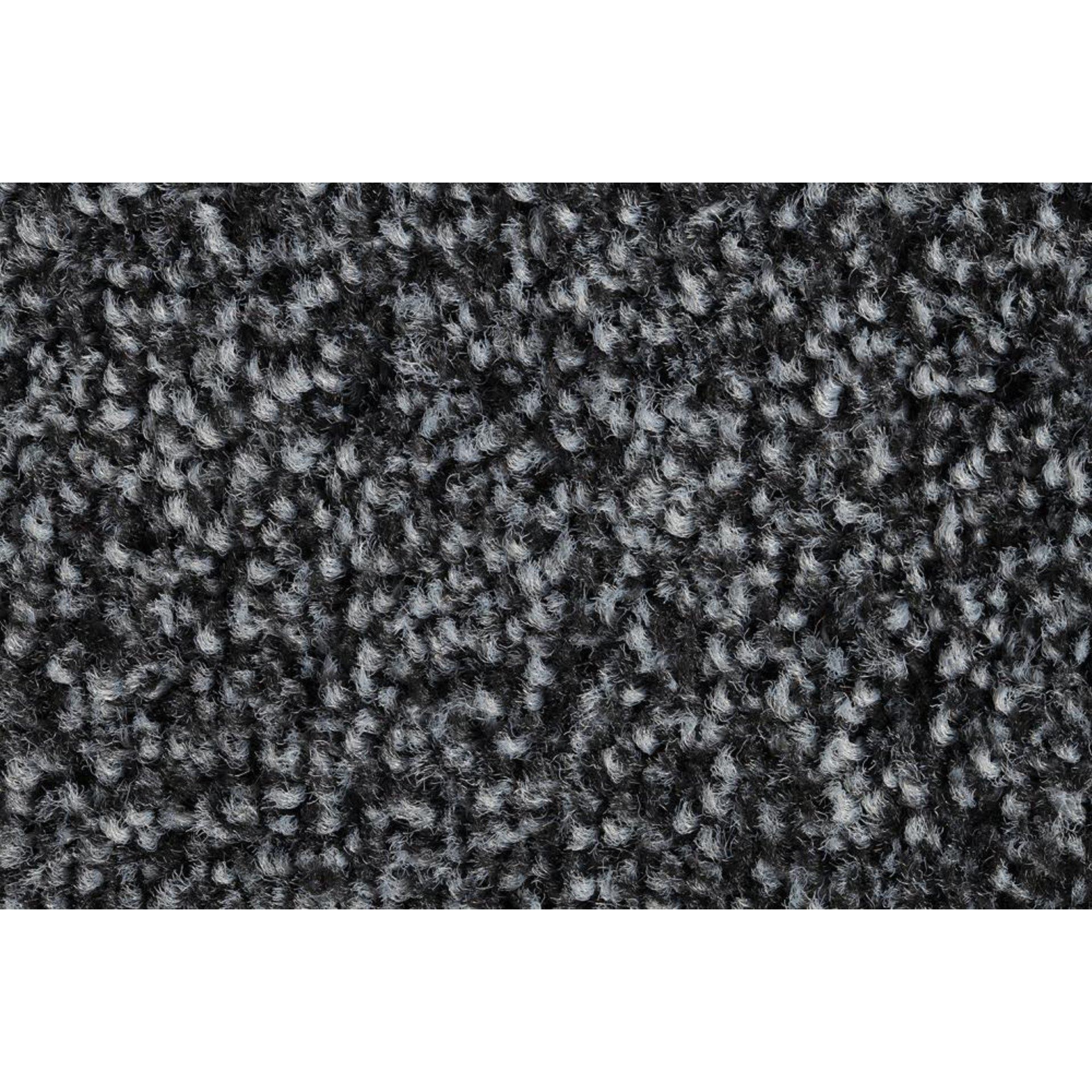Schmutzfangmatte EAZYCARE Wash grau B60xT85 cm