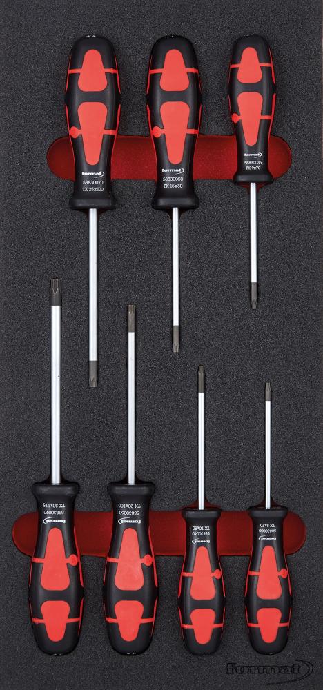 Format Werkzeugmodul 1/3 Schraubendreher Torx Format Werkzeugmodul 1/3 Schraubendreher Torx