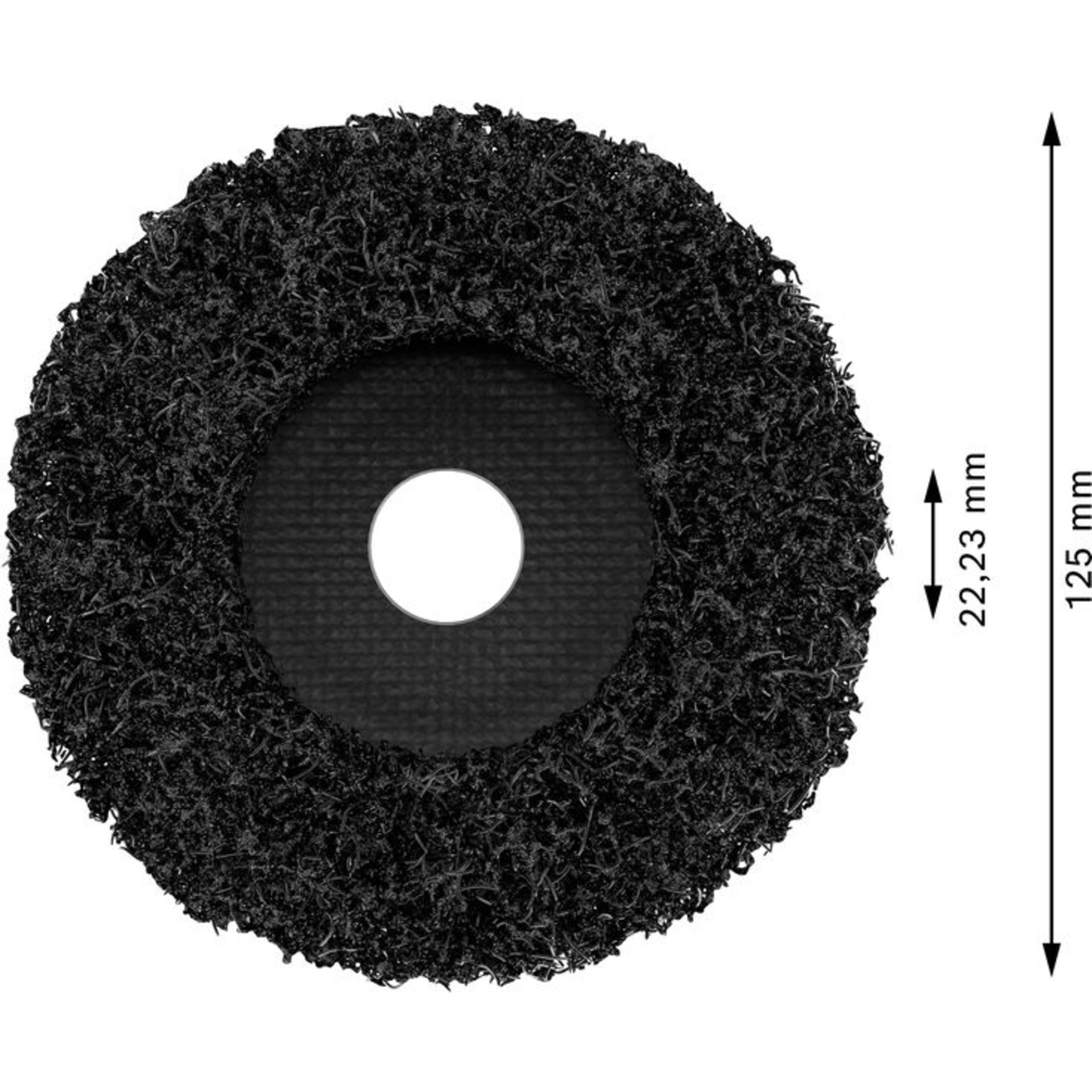 PRO N377 Reinigungsscheibe, 125 mm, 22.23 mm
