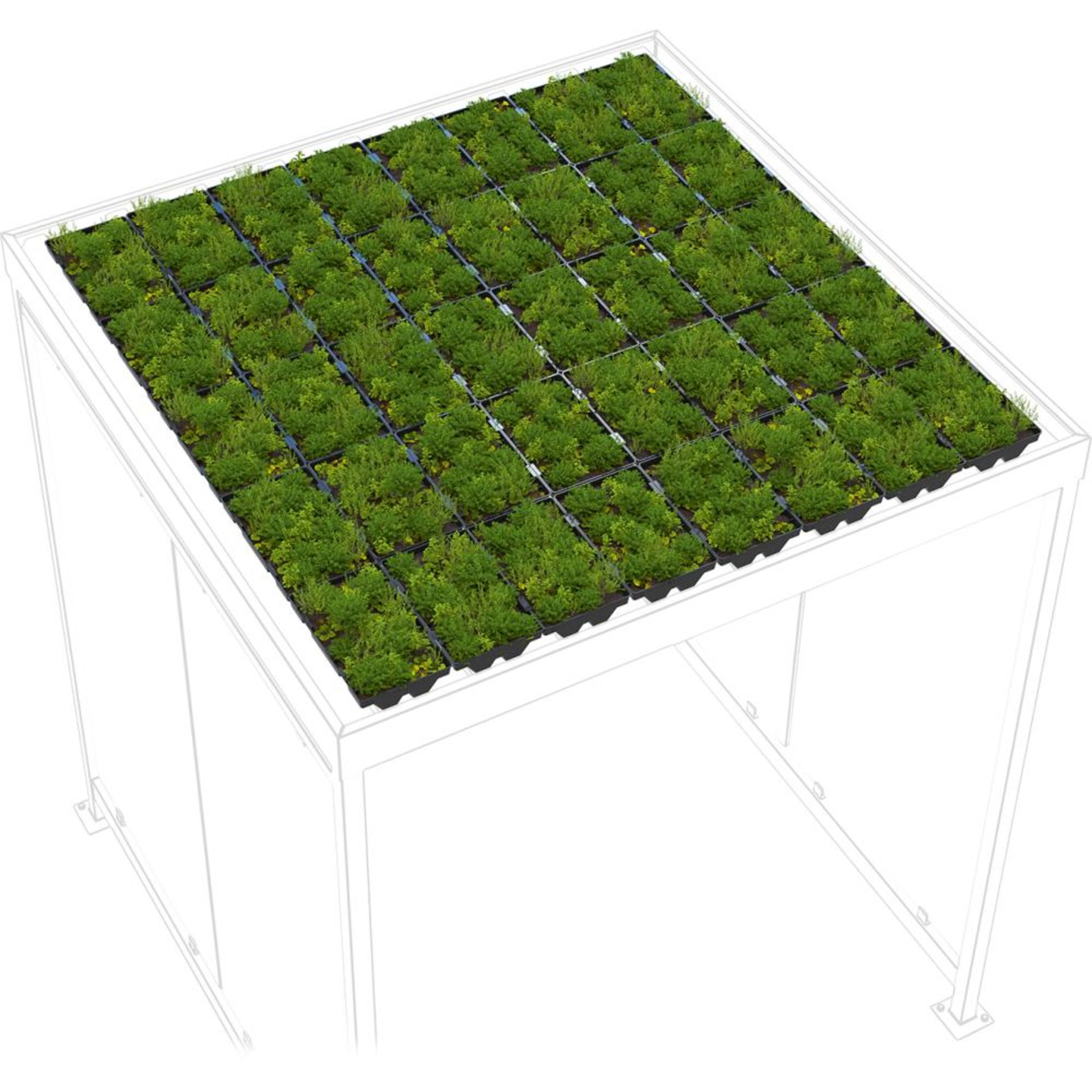 Dachbegrünung GreenPlus Economy zu Raucherunterstand Köln K2