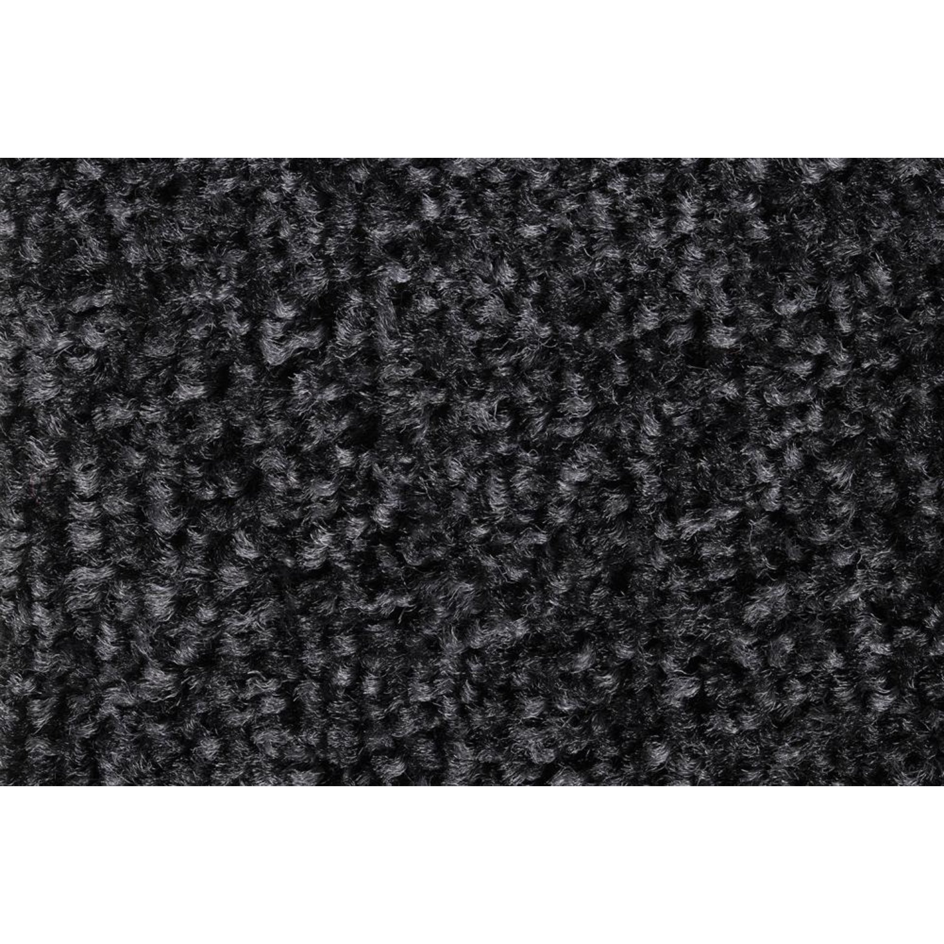 Schmutzfangmatte EAZYCARE Wash anthrazit B85xT150 cm