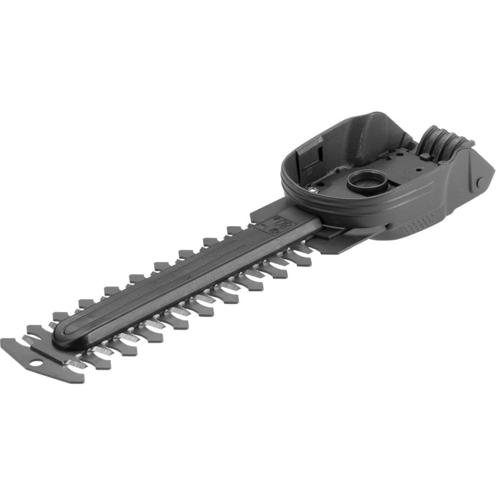 Strauchmesser 18 cm 2343 Gardena