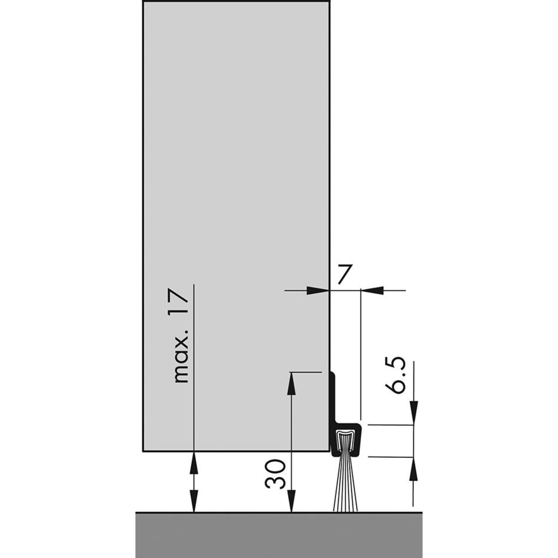 Türbodendichtung alu IBS 31 100cm m.PP Bürste ELLEN