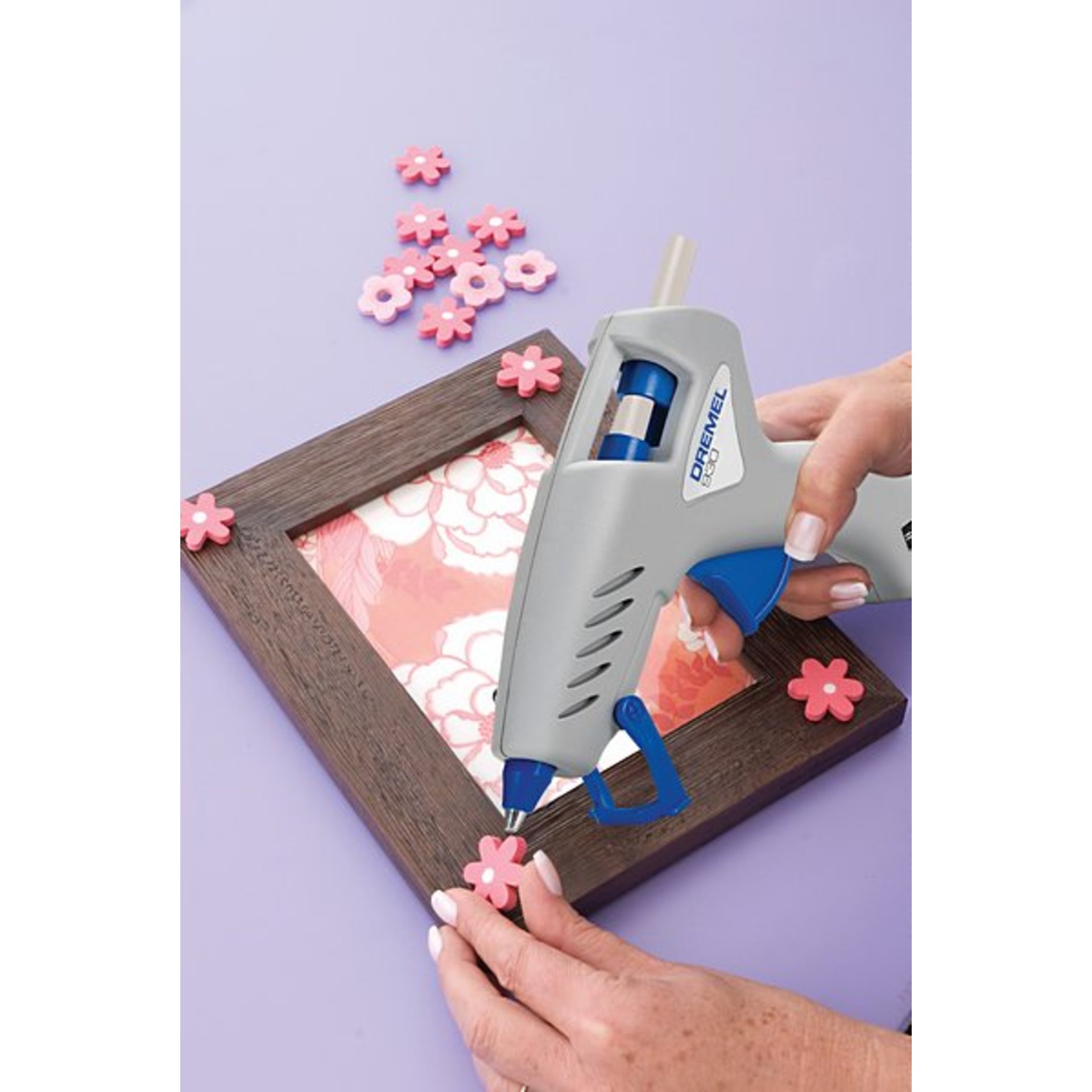 IMG-RD-6525-53