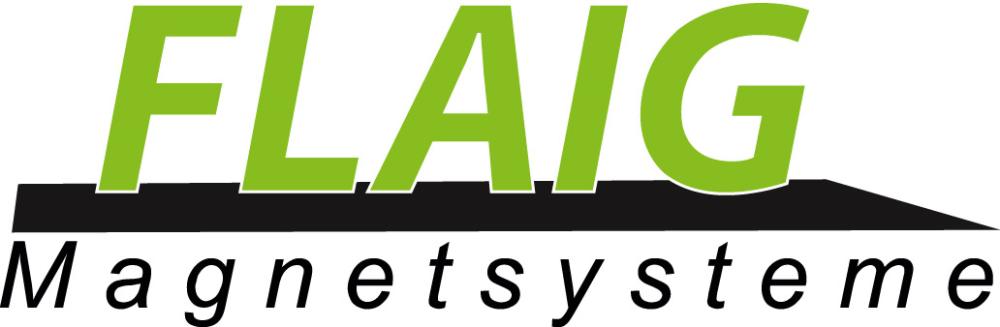 Flaig Lasthebemagnet FX-300
